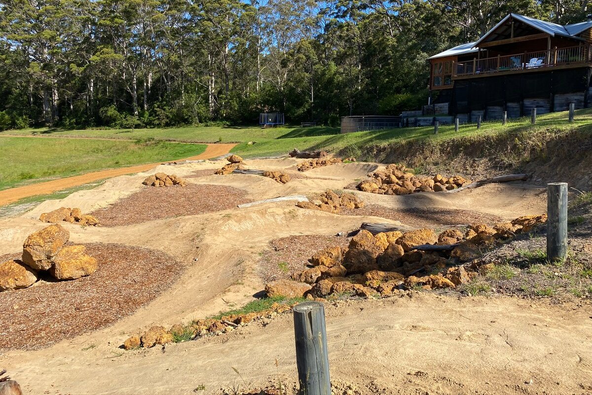 Mountain top forest, bike track, stunning vista gallery image 4
