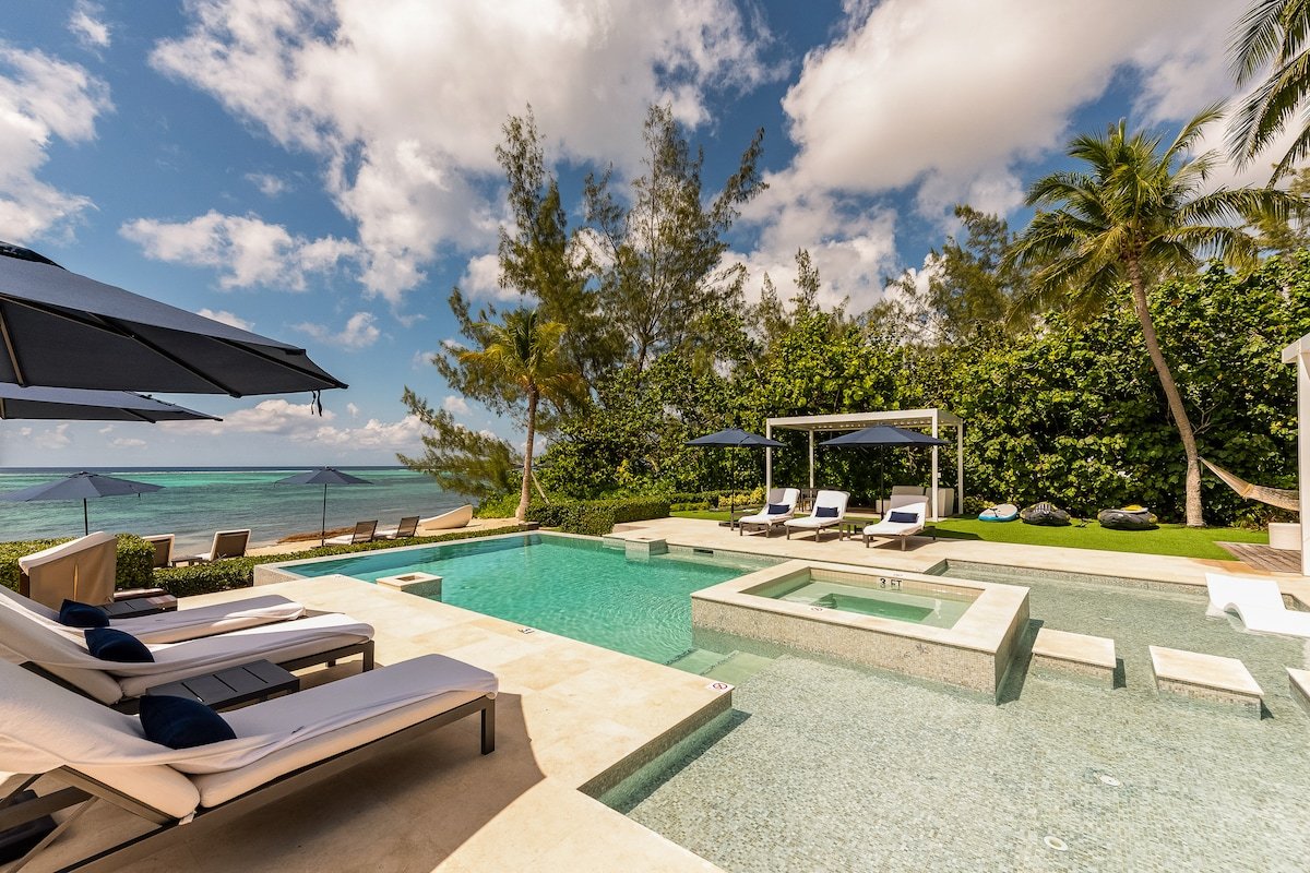 Black Urchin gallery image 3