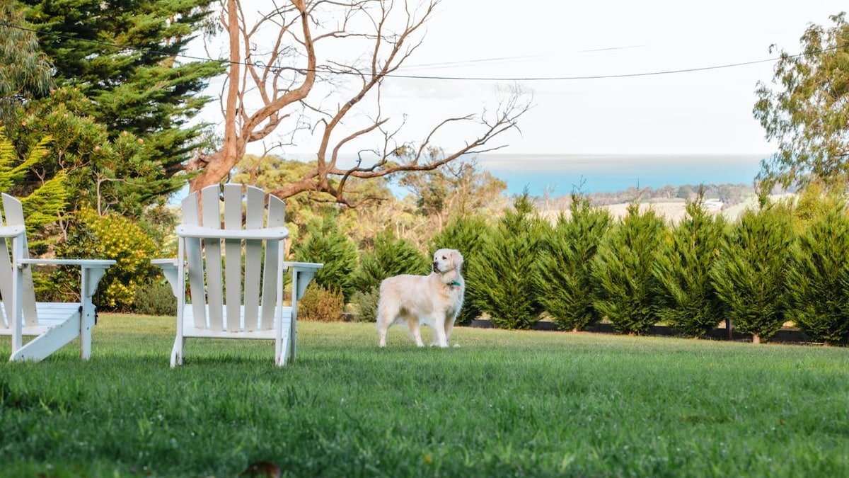 Ocean View House gallery image 2