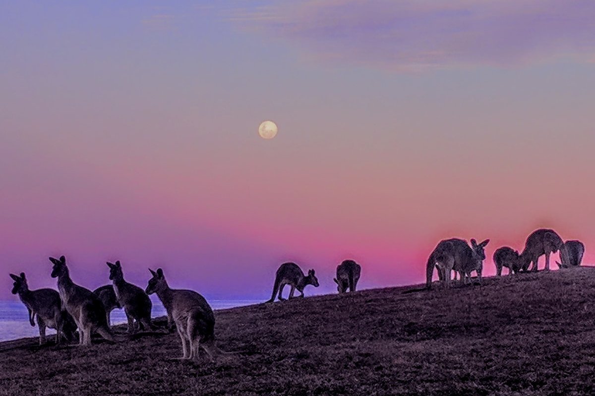 Coastal Creations @York, 2bed Apt, 450m to Beach gallery image 4