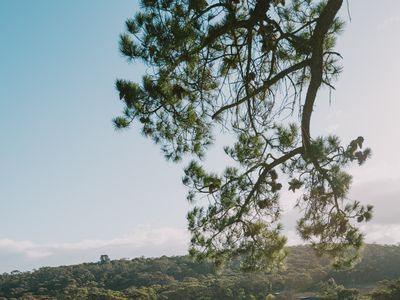 Escapes Top Pick – Group Getaway for the Year