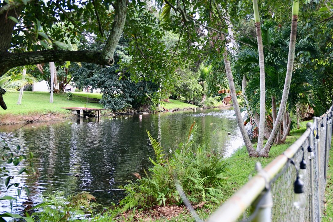 Tropical Oasis with Heated Salt Water Pool & Bar! gallery image 4