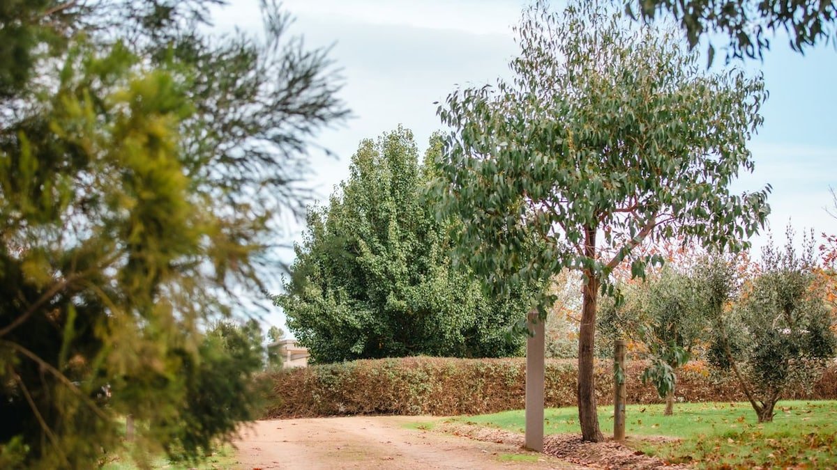 Tucks Rise gallery image 5