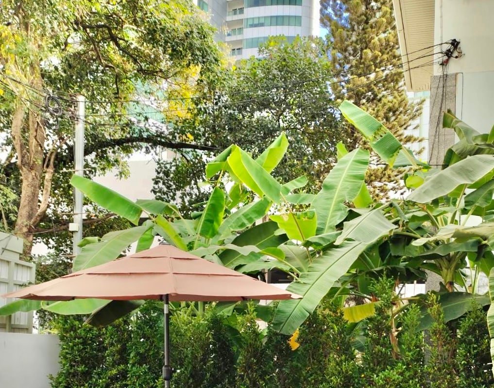 B1 l Townhouse Near BTS Asok gallery image 5