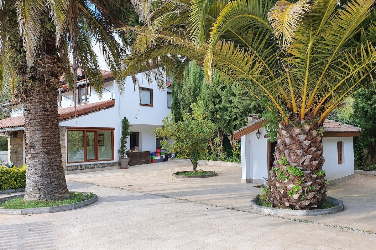 Dreams and friends on the coast of Bilbao. gallery image 5