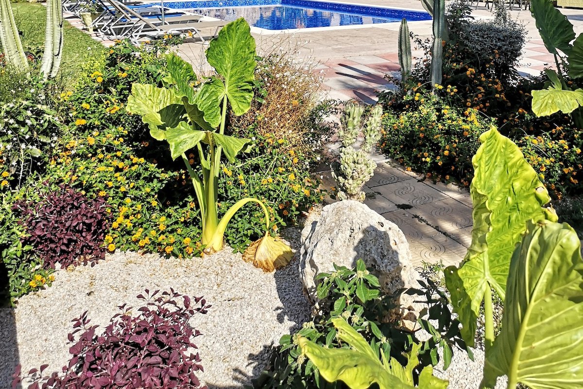 Louis Luxury Villa by living in blue gr gallery image 3