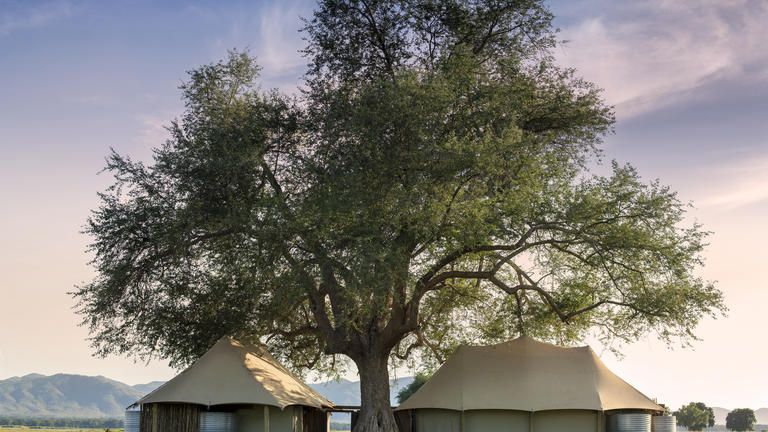 African Bush Camps Nyamatusi Mahogany Luxury Family Suites