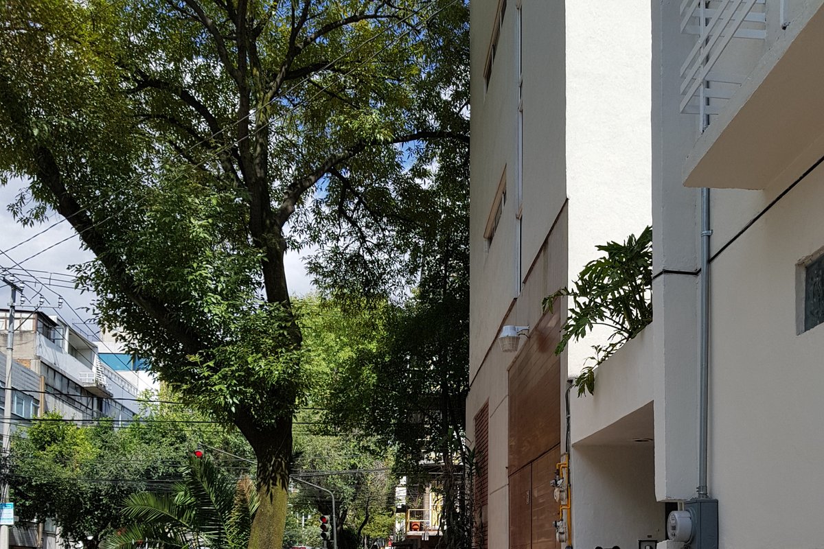 Great House at amazing location! 14 guests/5 rooms