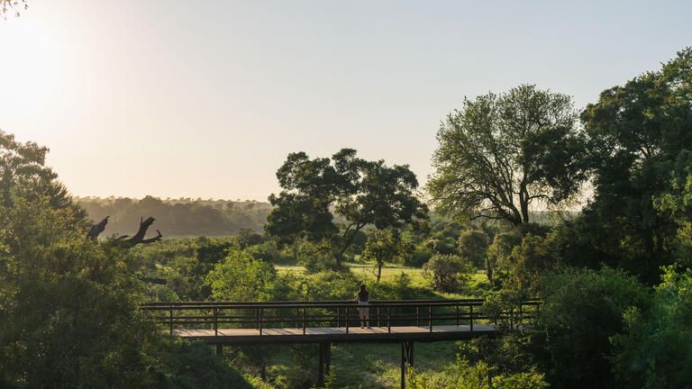 Sable Camp photo