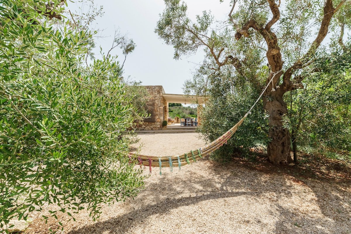 A paradise among olive trees gallery image 4