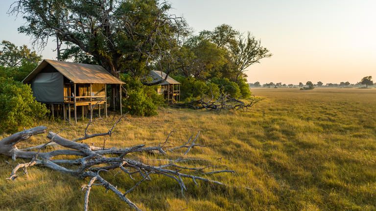 Mokolwane Family Tent