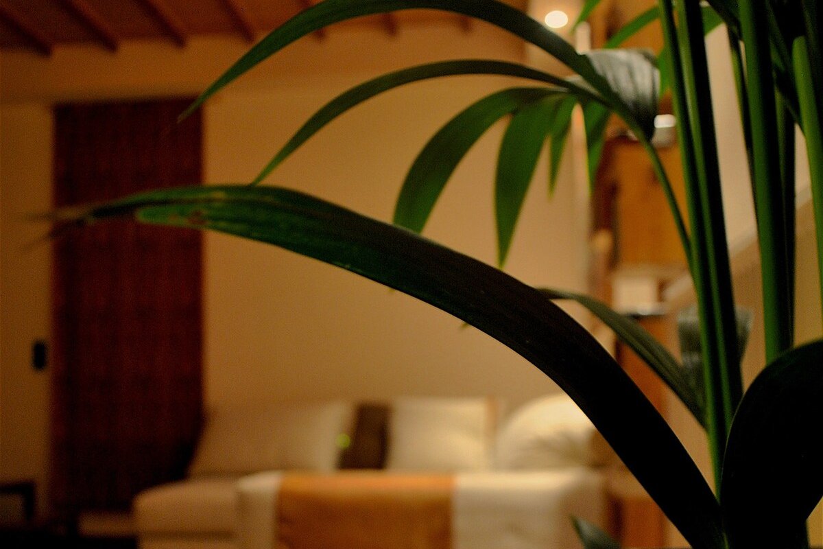 Little hidden paradise in Athens gallery image 5