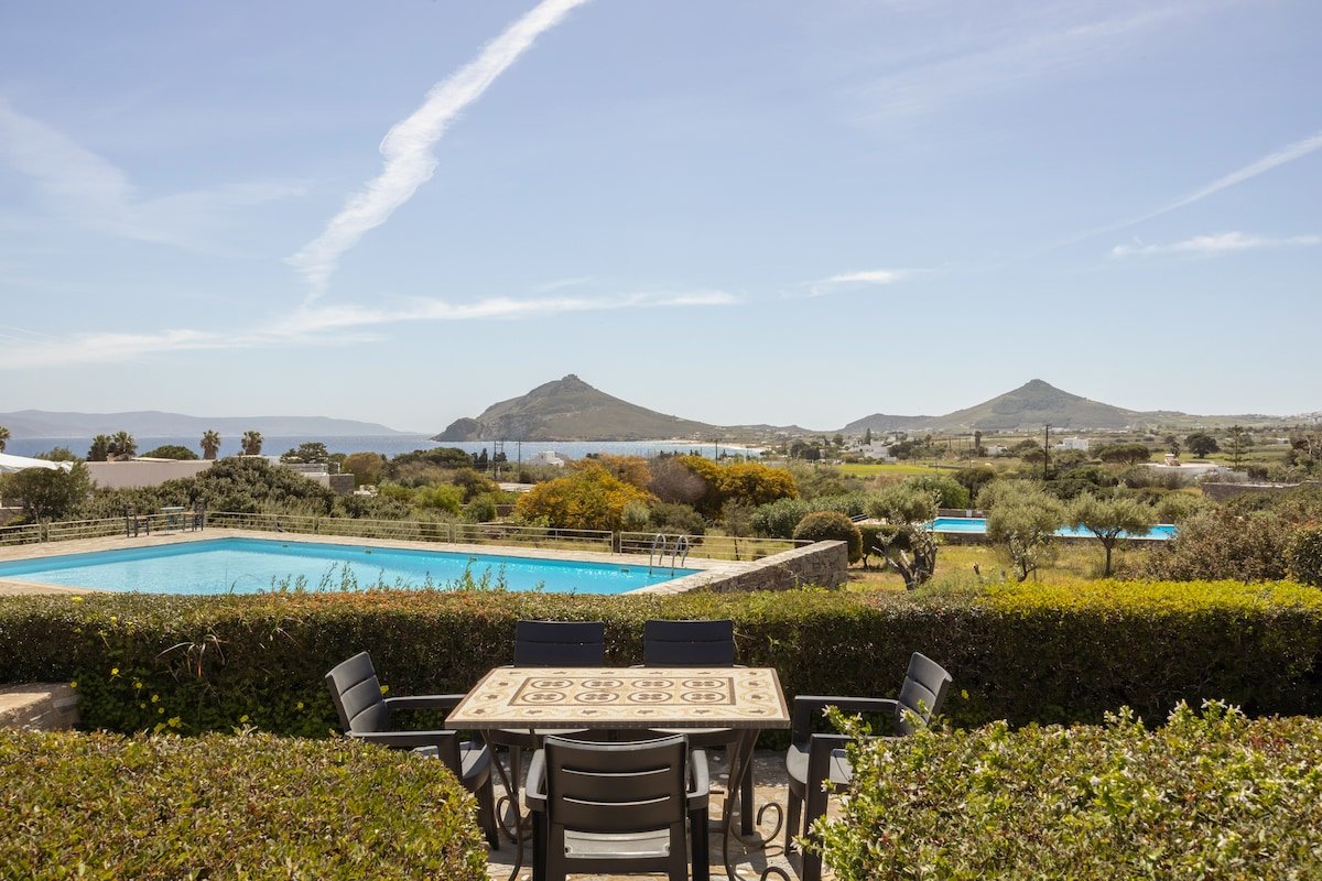 Blue Coral 2 gallery image 3