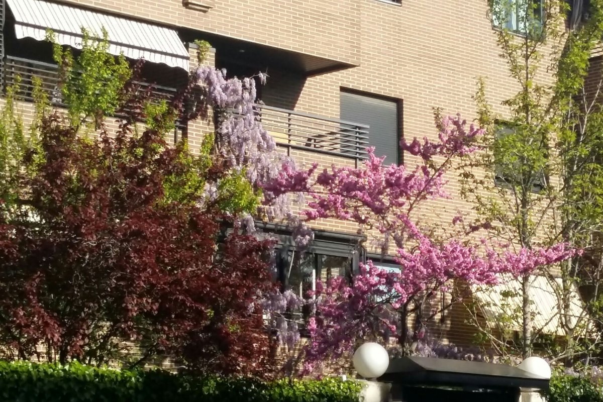 Amplio Duplex con jardín y piscina junto a IFEMA.