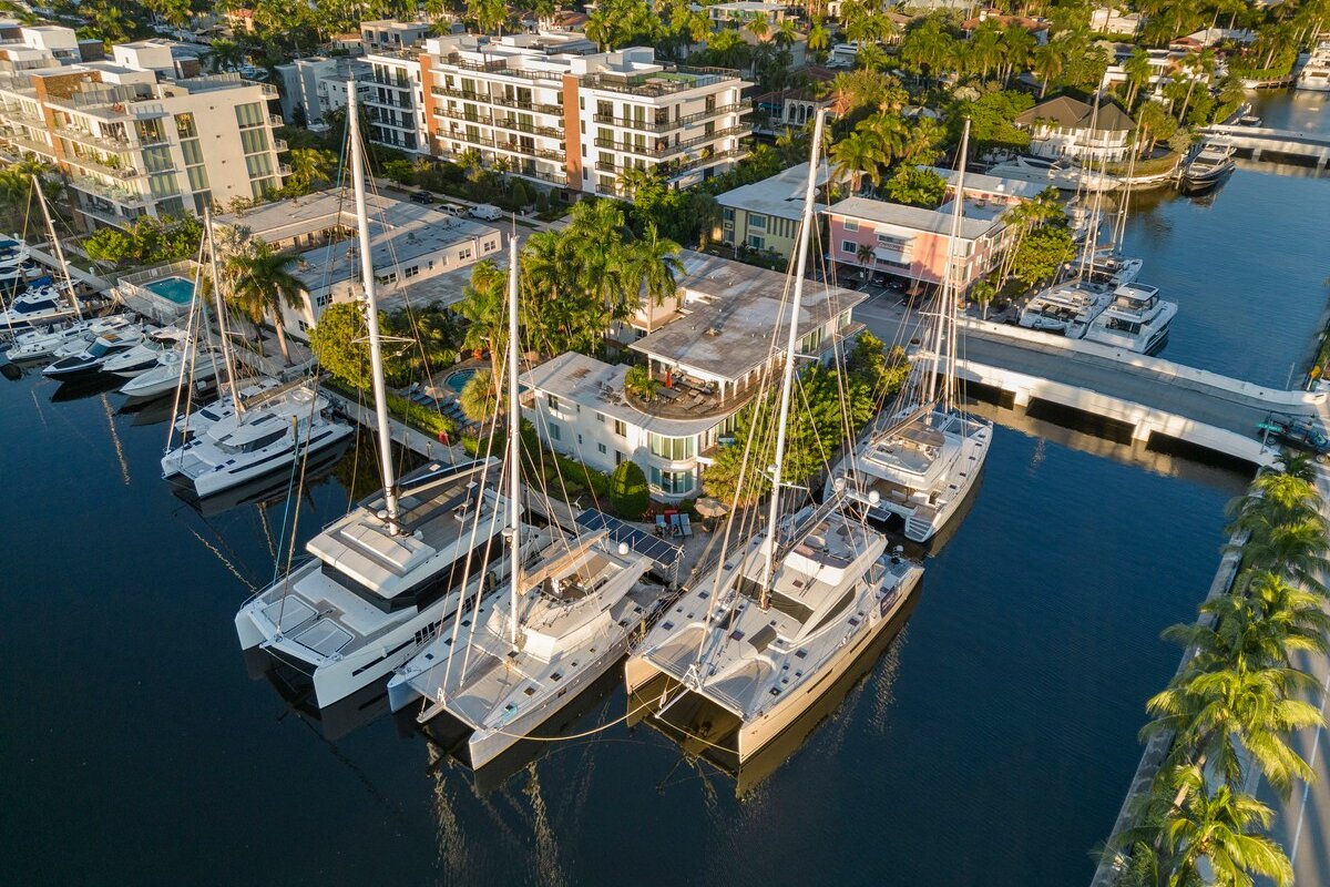 Blue Marlin – 203 gallery image 3