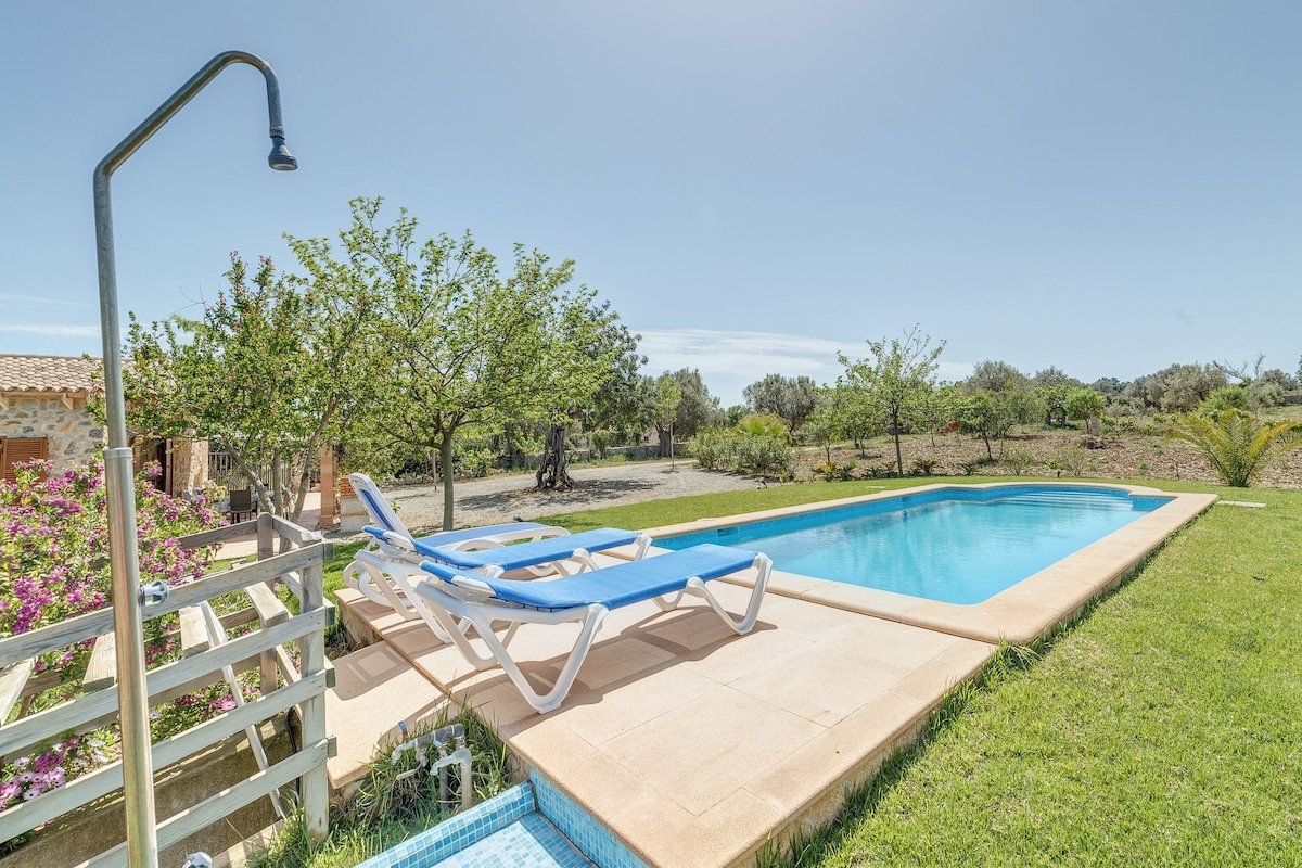 Mamici gallery image 4