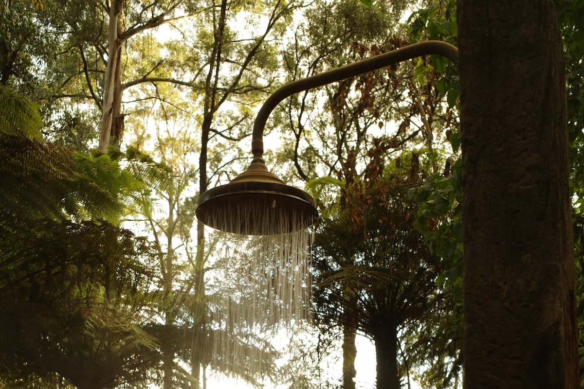 Forest Retreat gallery image 5