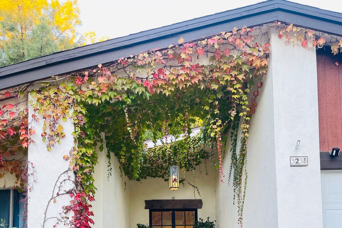 The MoonLight Home | Holiday Ready Los Angeles gallery image 4