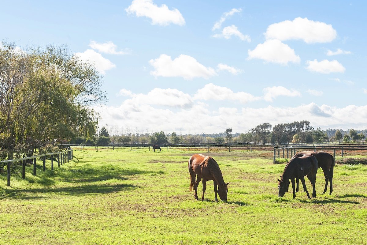 Forrest Beach Estate gallery image 3