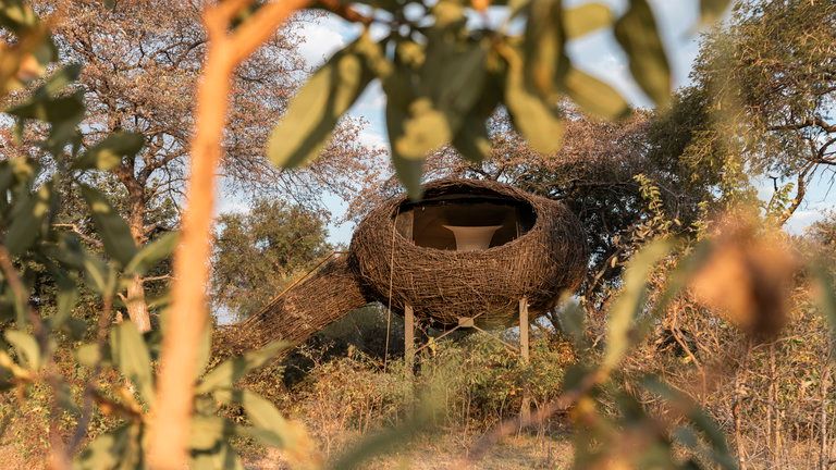 Chisa Busanga Camp The Luxury Nests