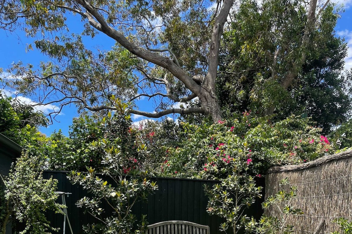 Sunny Rose Bay pad with spacious garden + Hot tub gallery image 4