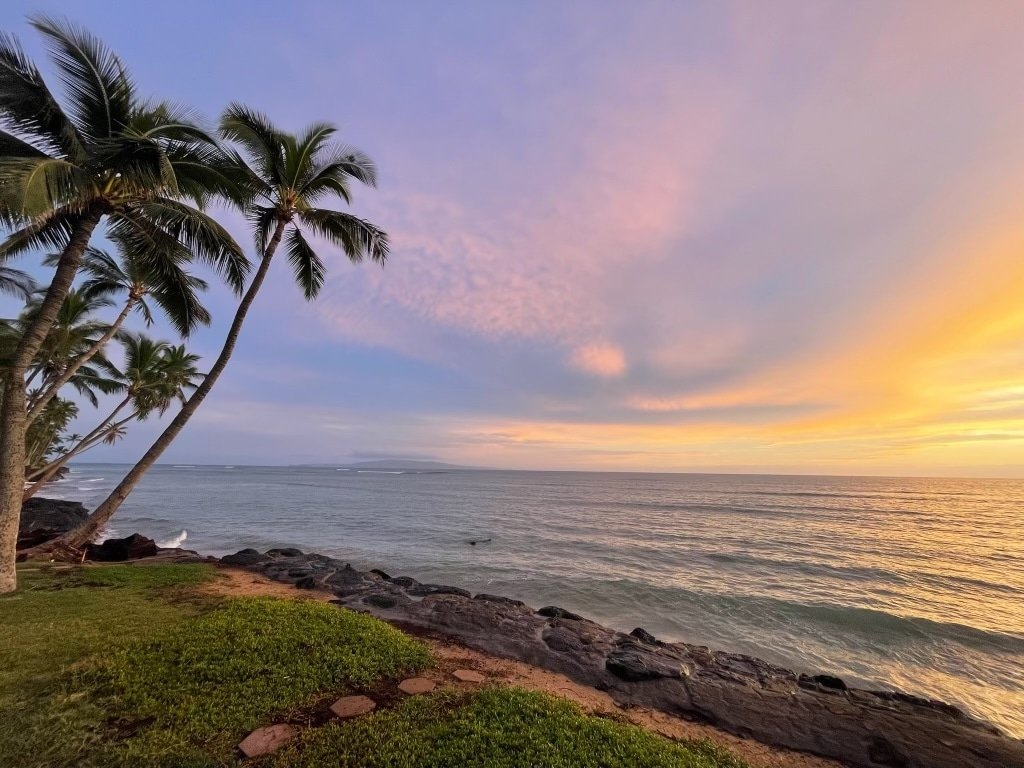 Whales and sunsets, front row seats every day! gallery image 3