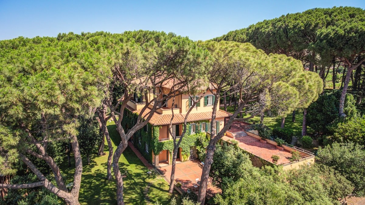 Tenuta 4 pini gallery image 2