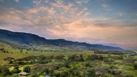 Angama Safari Camp - Angama Safari Camp