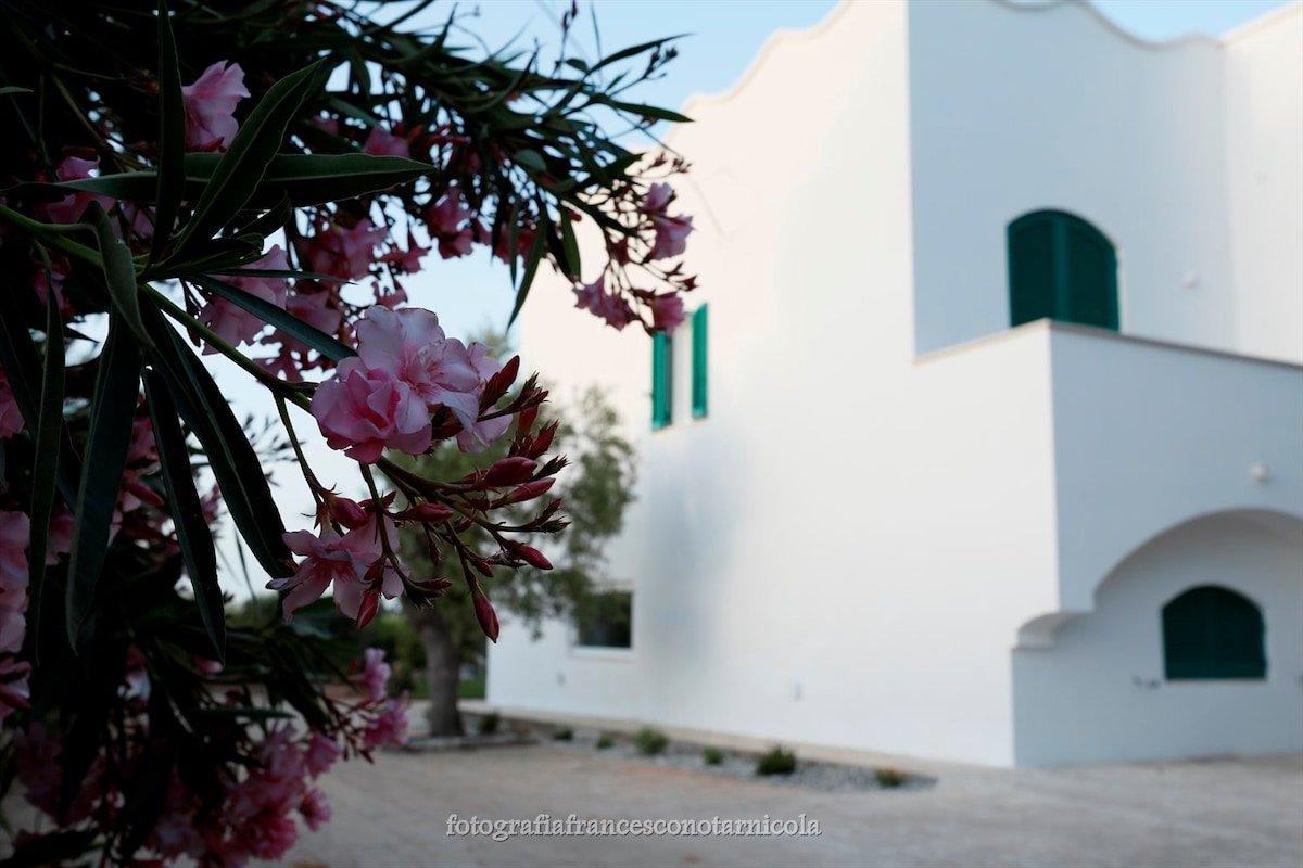 Residenza Lippolis – Top Villa with Pool in Puglia gallery image 4