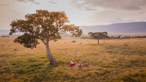 Sundowners In the Wild