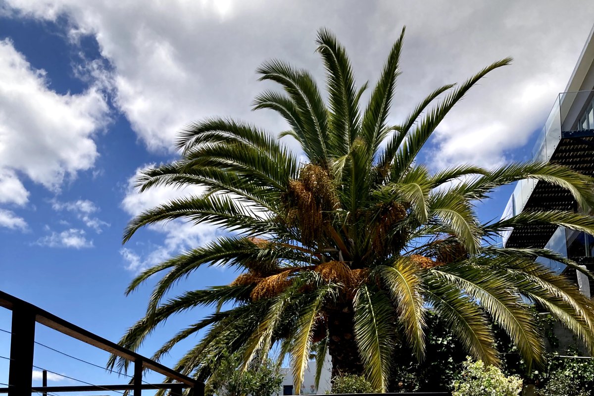 7-Bed, 7-Bath Villa with Ocean Views and pool