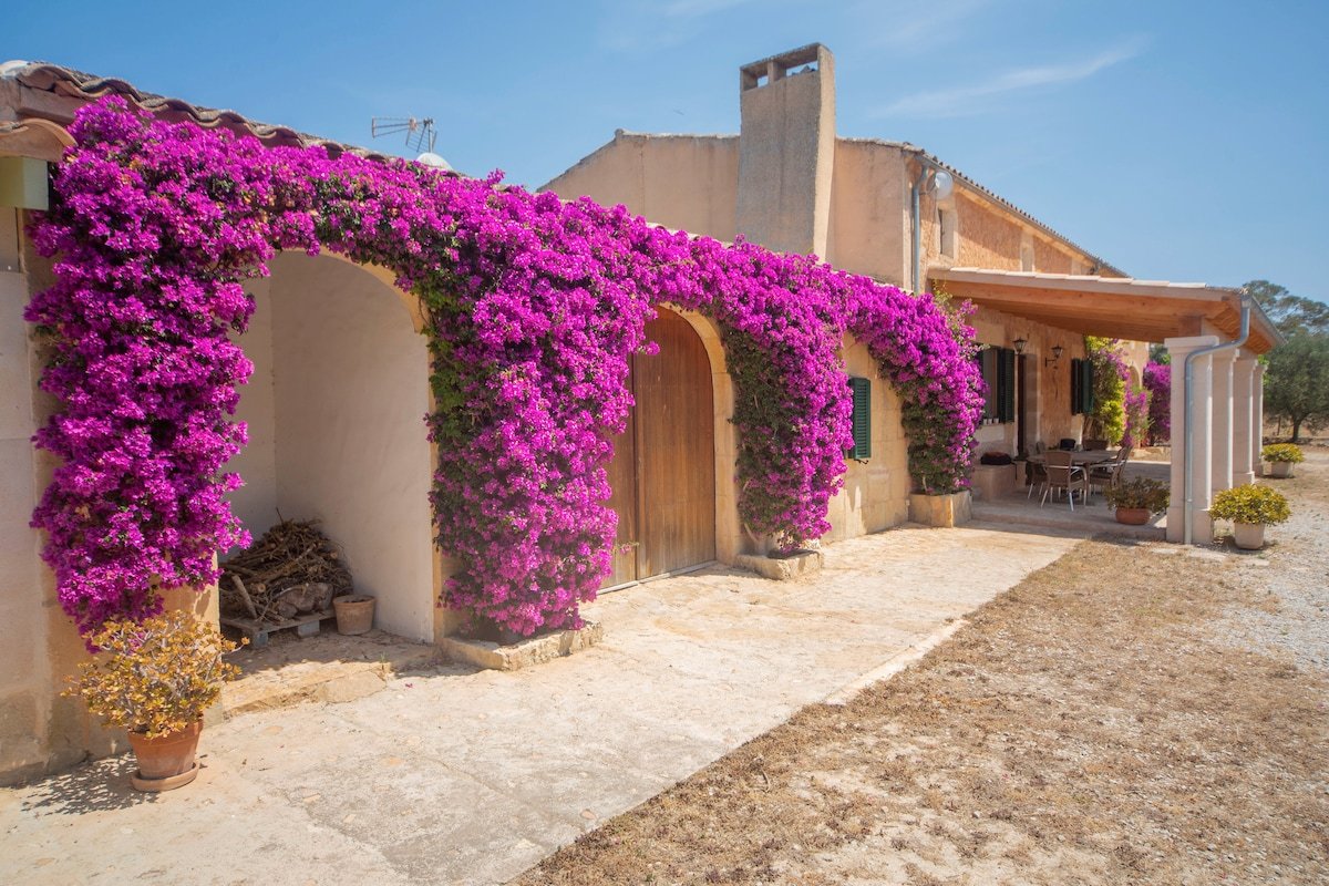 Sa Clota Nova gallery image 3