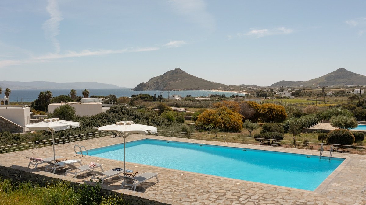 Blue Coral 2 gallery image 5