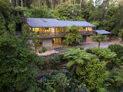 Forest Hideaway – with Sauna