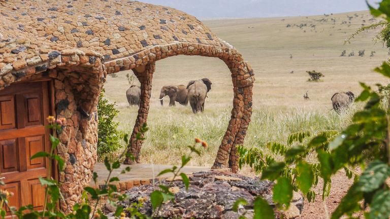 Lewa House - Elephant at Water hole