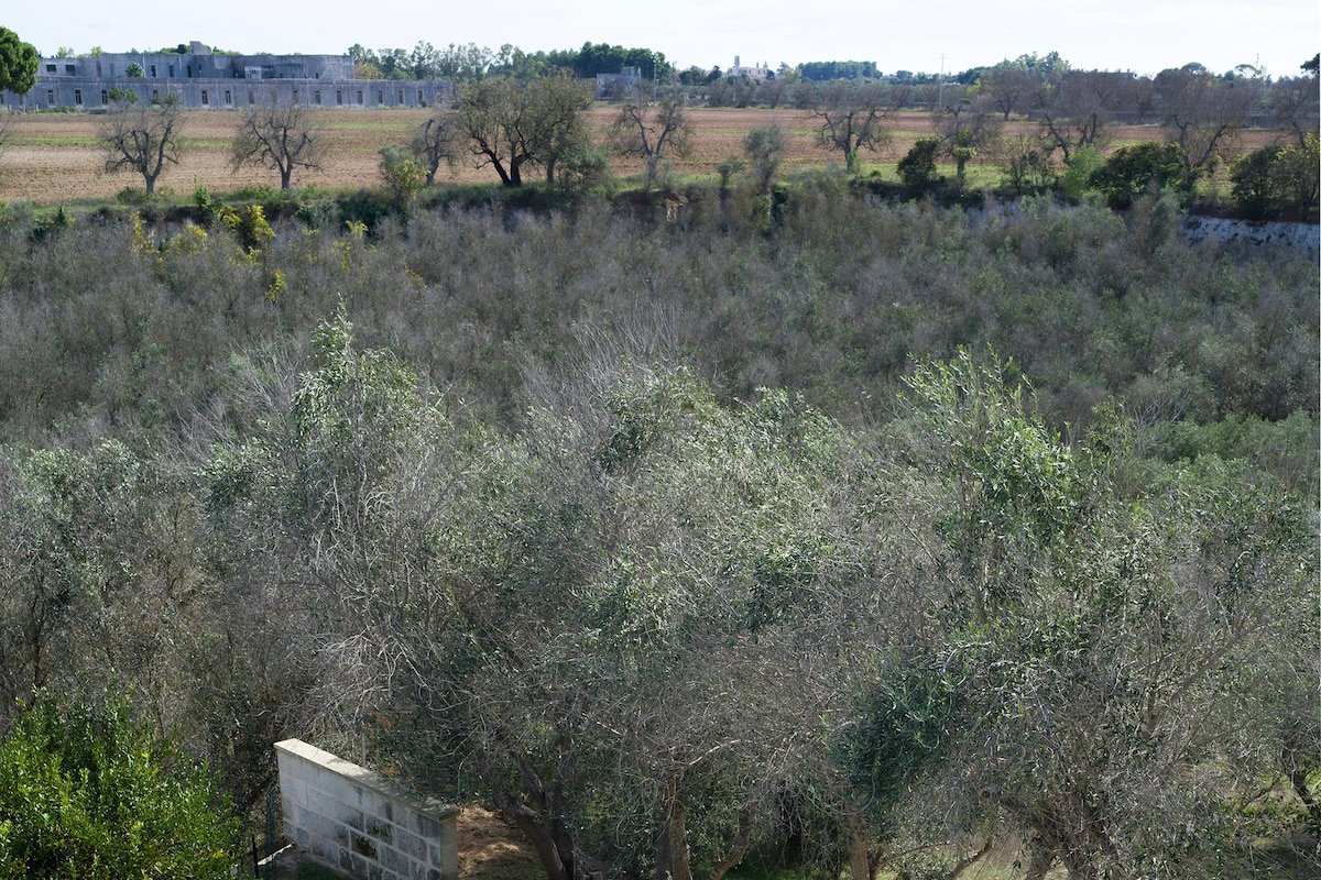 Beautiful Villa near Lecce with Pool and Garden gallery image 4