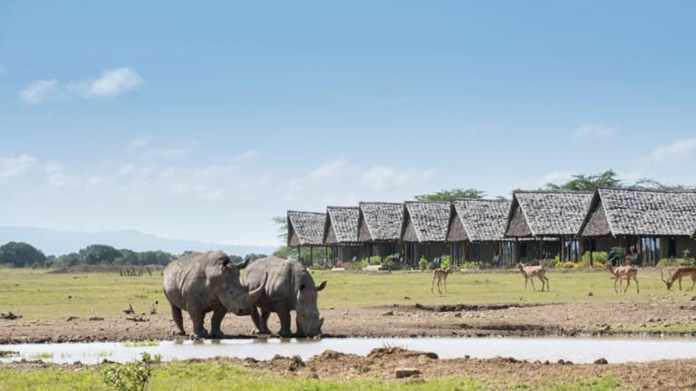 Sweetwaters Serena Camp Standard Wing Tent Waterhole View