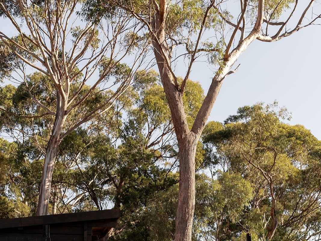 The Chalet & The Pavilion – Tennis Court & Sauna gallery image 4