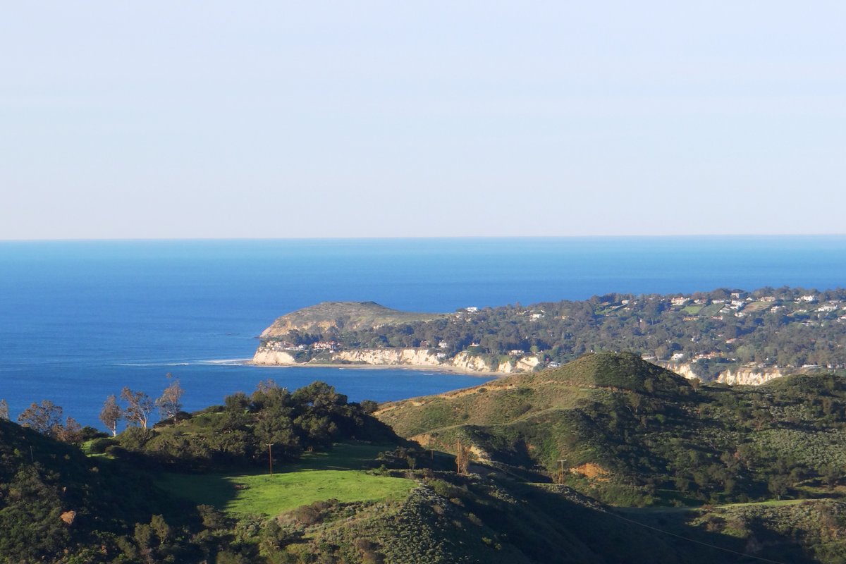 Sweeping Oc Vus-Cleaning Policy- Social Distancing