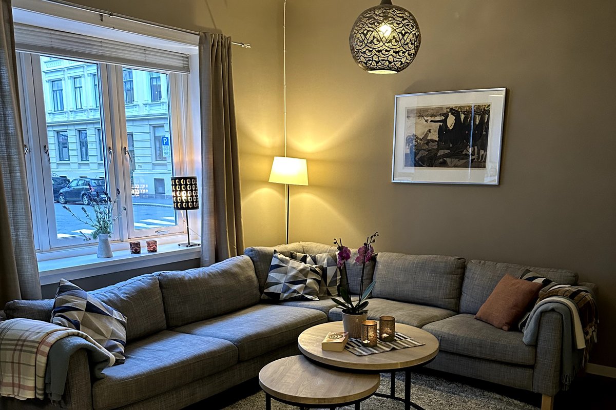 Spacious Central Oslo apartment in quiet area