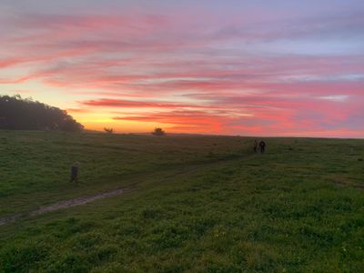 Poplar Beach Home and Guesthouse with Hot Tub
