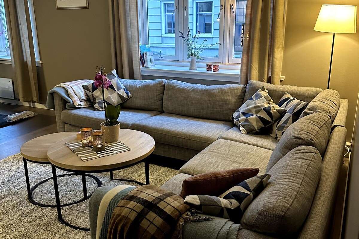 Spacious Central Oslo apartment in quiet area gallery image 4