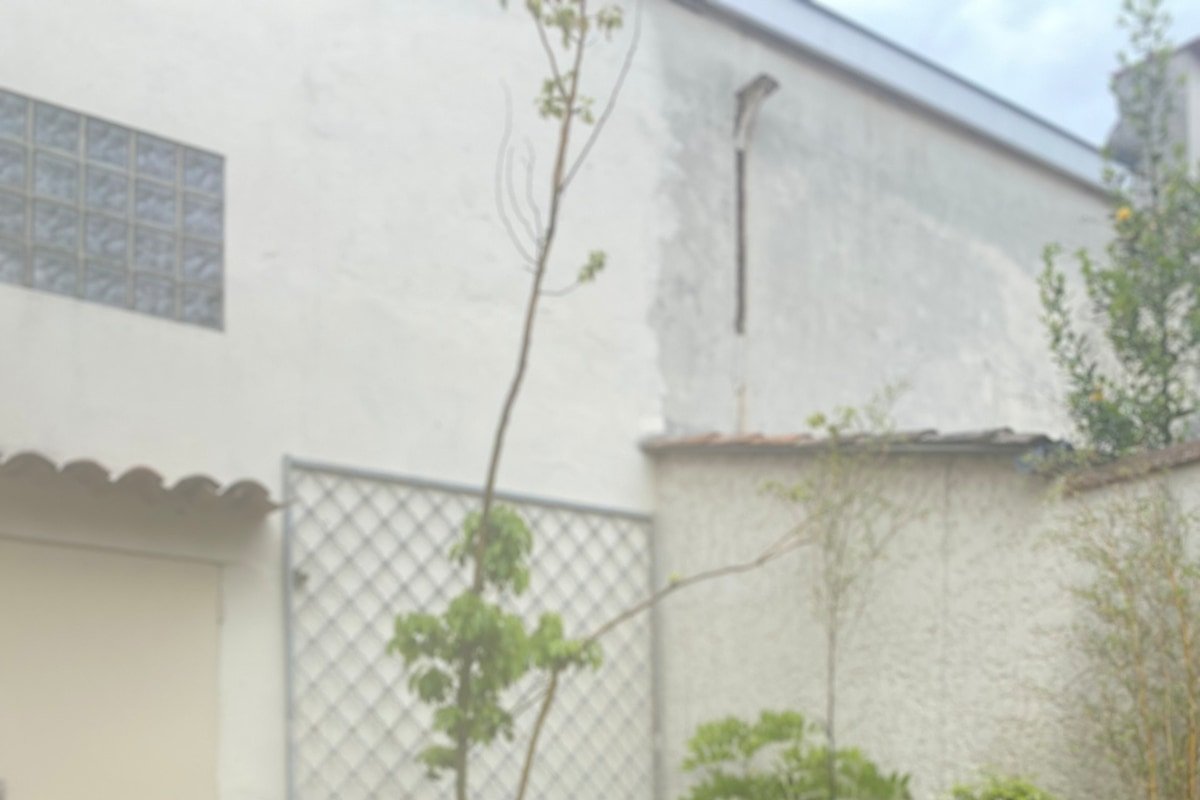 Oasis Urbaine maison de plain-pied avec jardin gallery image 5