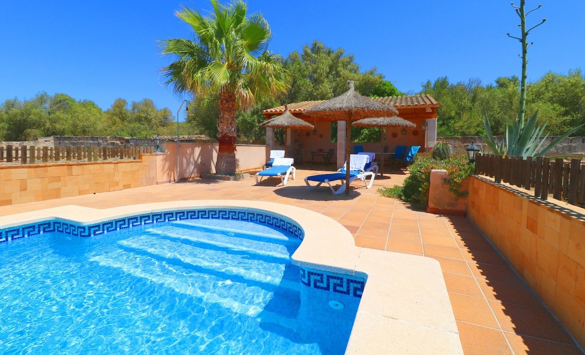 Alcoraia gallery image 5