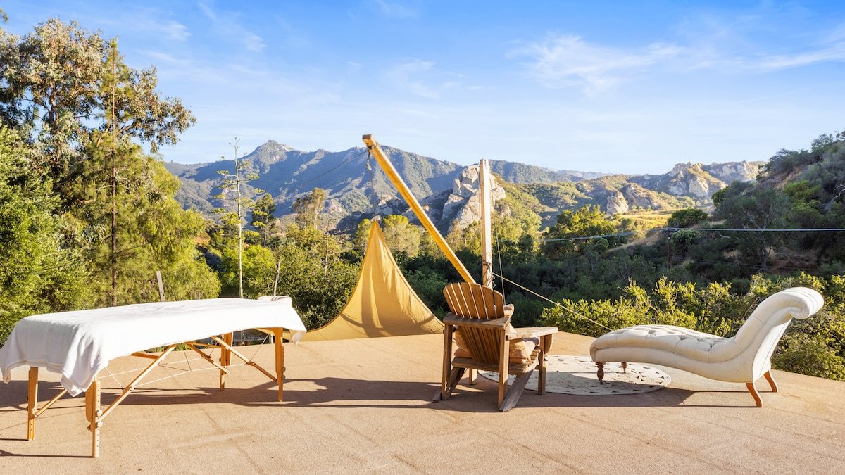 @MotherShippo family Sanctuary gallery image 5