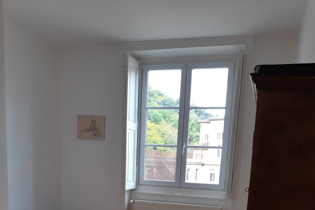 T4 vieux Lyon gallery image 5