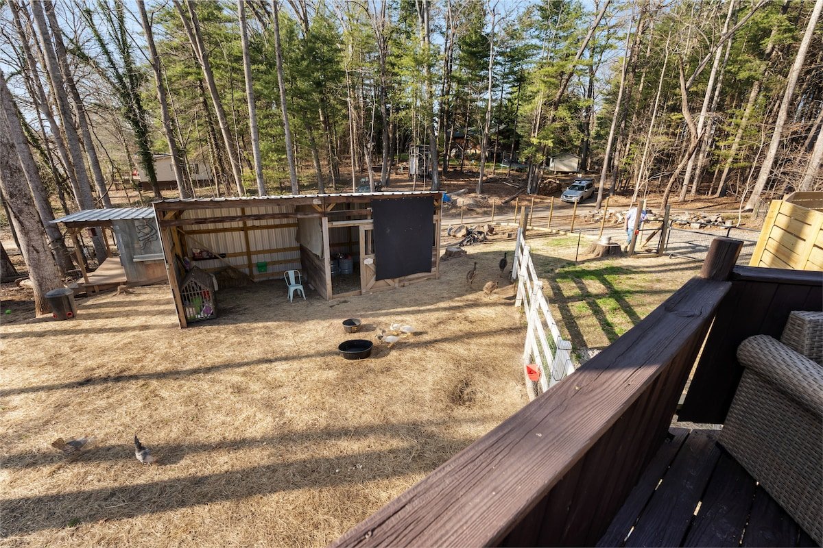 Asheville Farm Retreat, hot tub, King bed, firepit gallery image 3