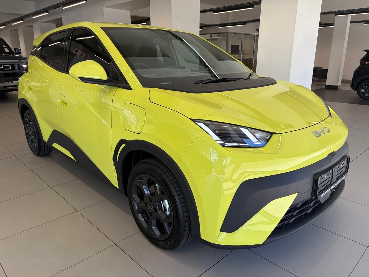 BYD DOLPHIN SURF DYNAMIC for Sale in South Africa