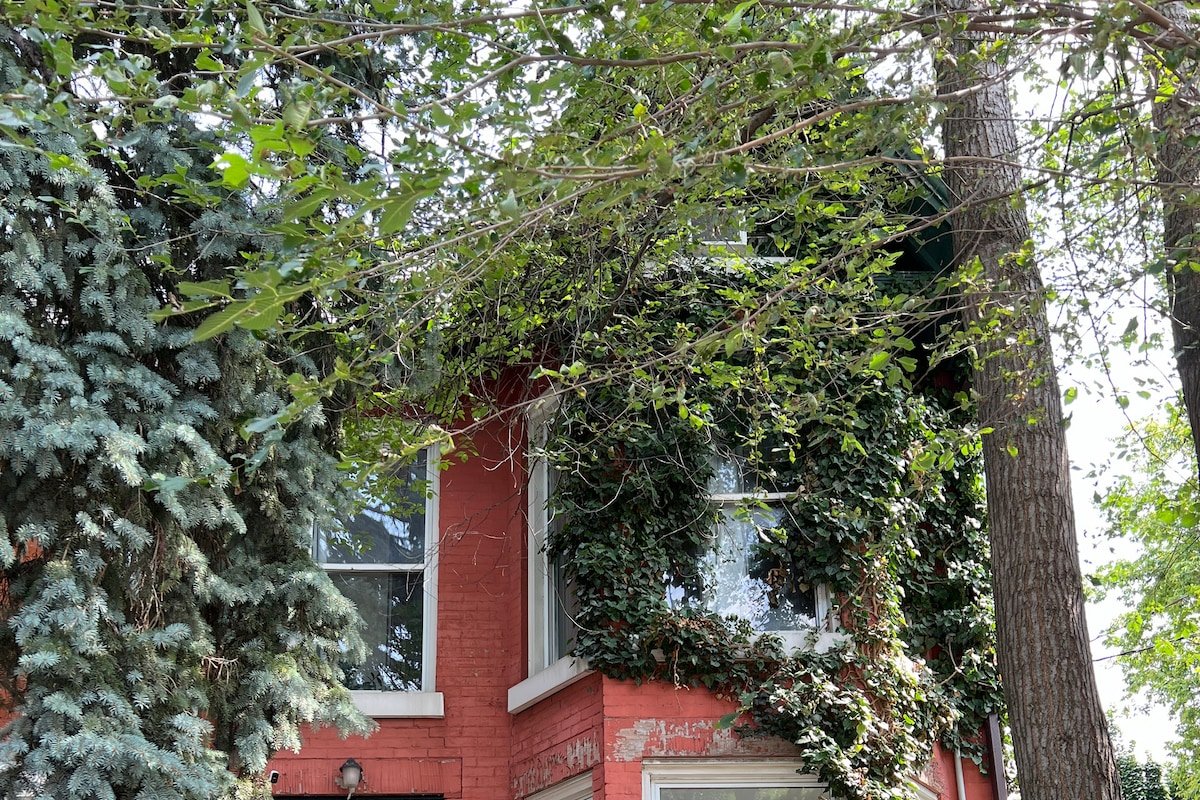 Heritage Charm w/ Rooftop Oasis gallery image 3