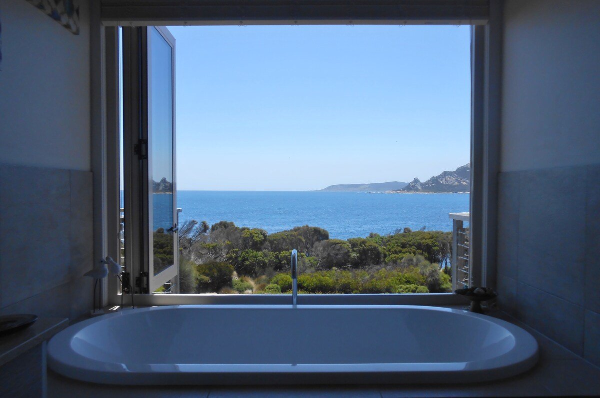 Nautilus 2 gallery image 4